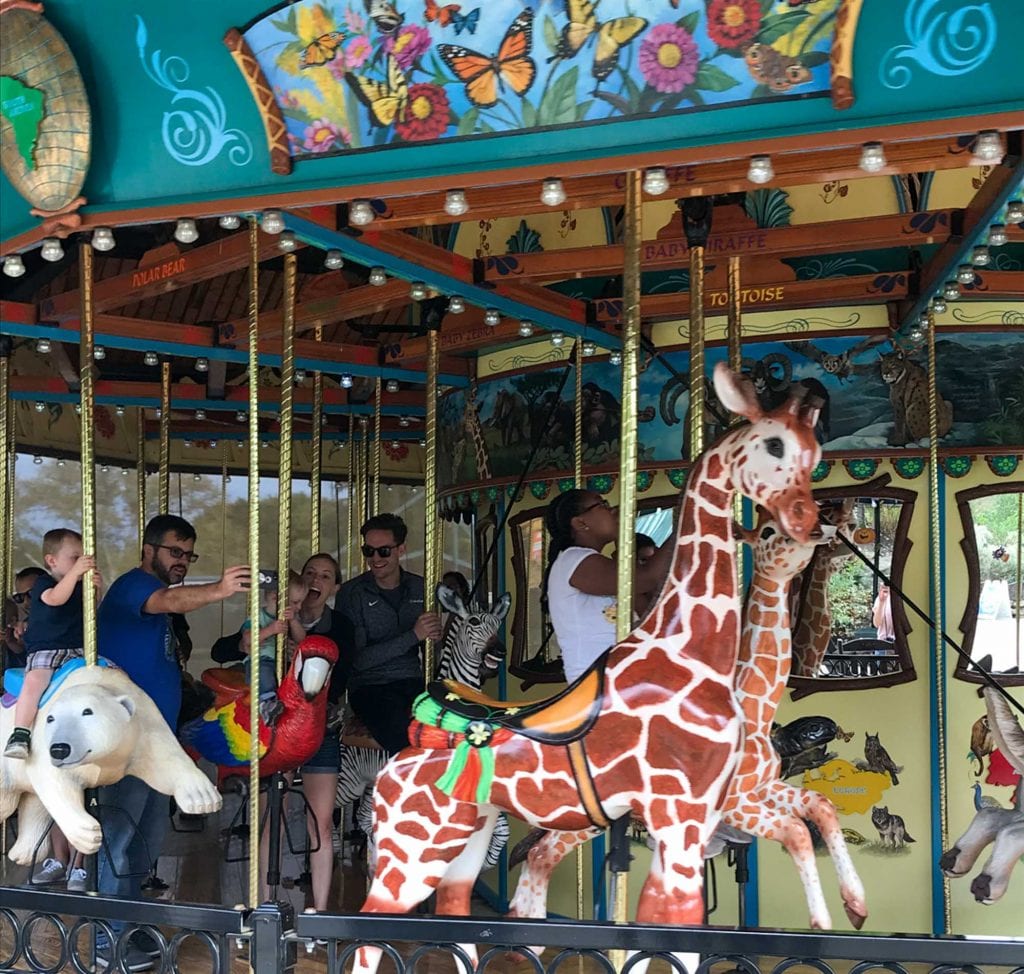 Carrusel del zoológico de Akron