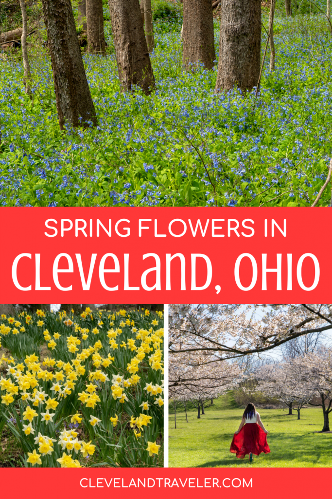 Flores de primavera en Cleveland