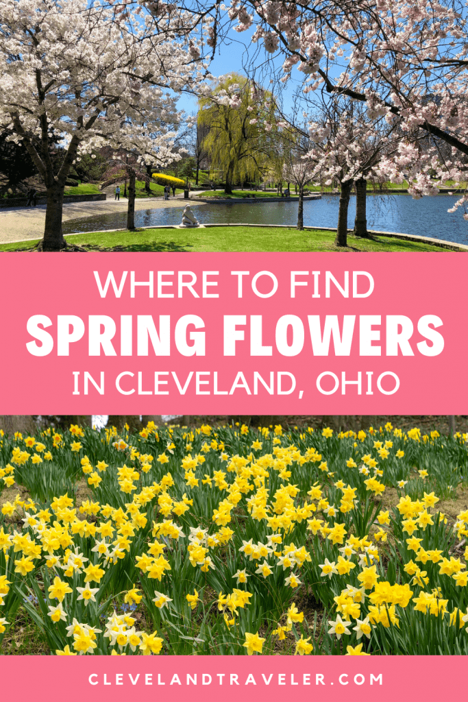 Dónde ver flores de primavera en Cleveland