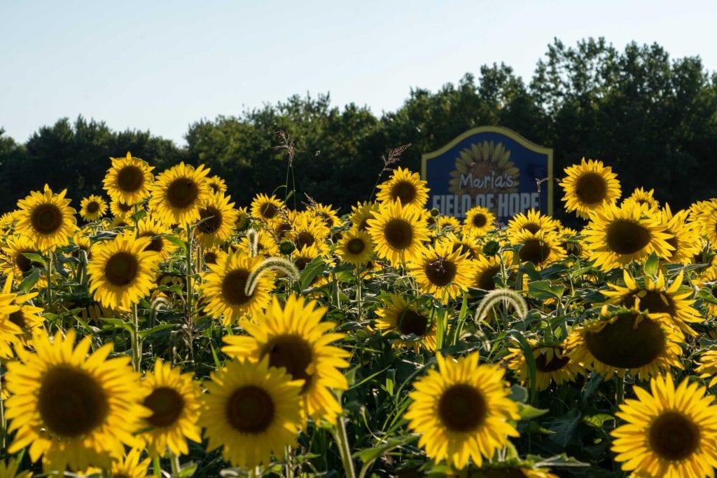 Campo de esperanza de María Cedar Point