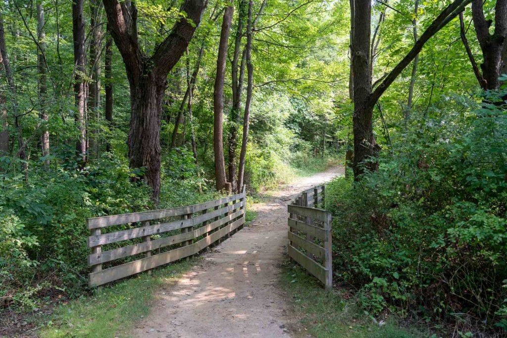 Munroe Falls Metro Park Meadow Trail