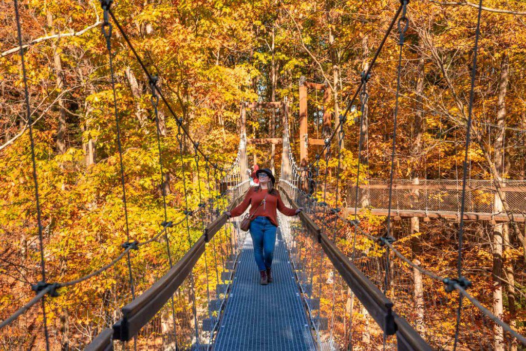 Paseo por el dosel de Holden Arboretum en otoño