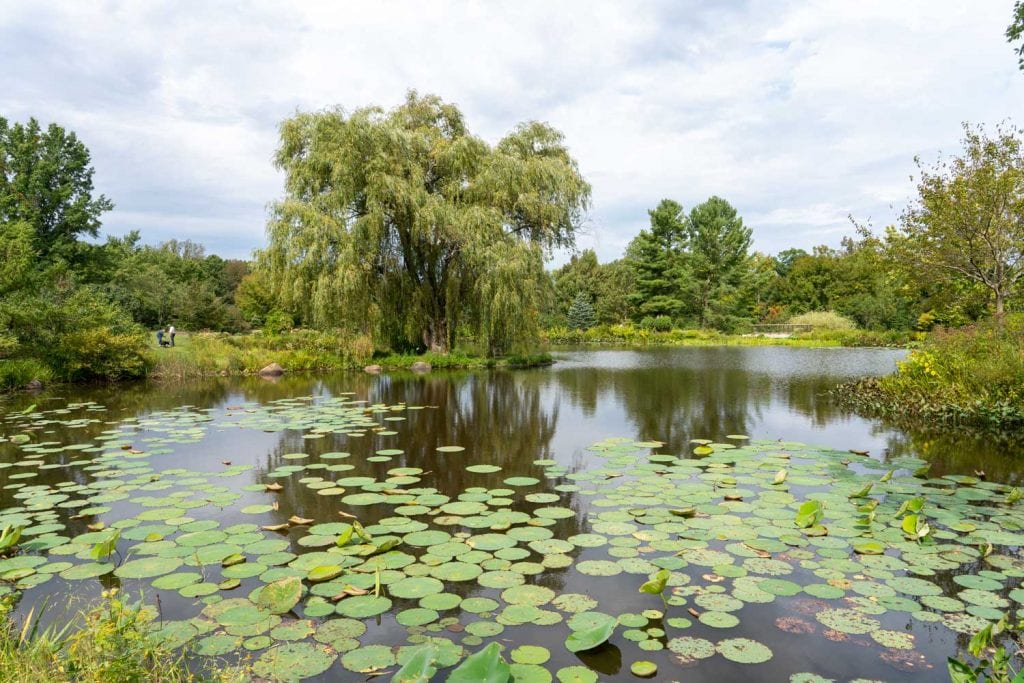 Estanque en Holden Arboretum