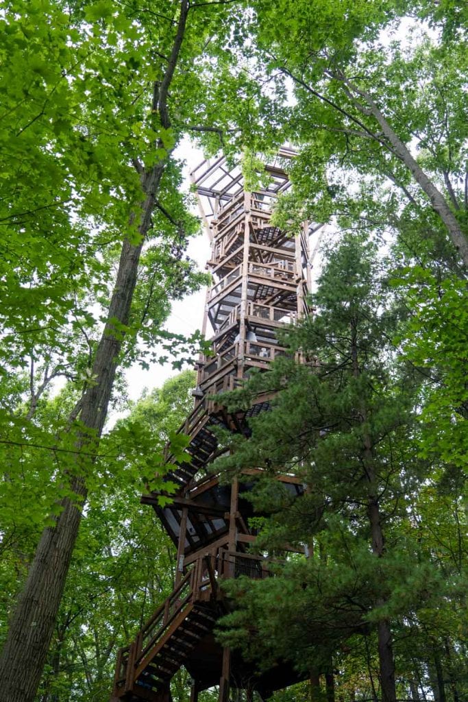 Torre emergente en Holden Arboretum