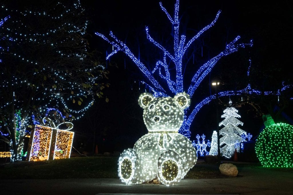 Luces salvajes de invierno 2020