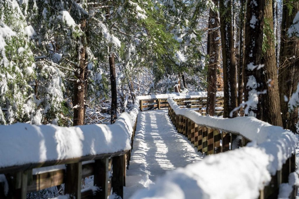 Paseo marítimo de Brandywine Falls en invierno