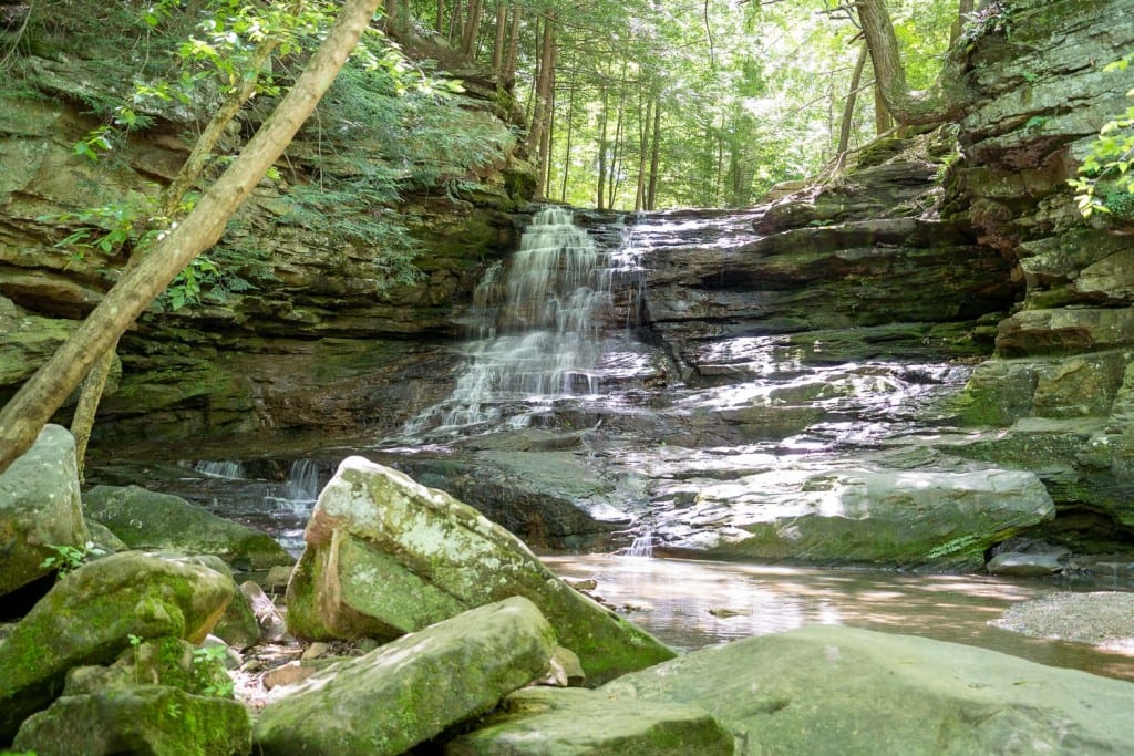 Cascada de carrera de miel