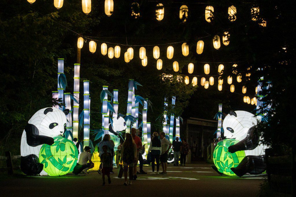 Festival de los faroles asiáticos