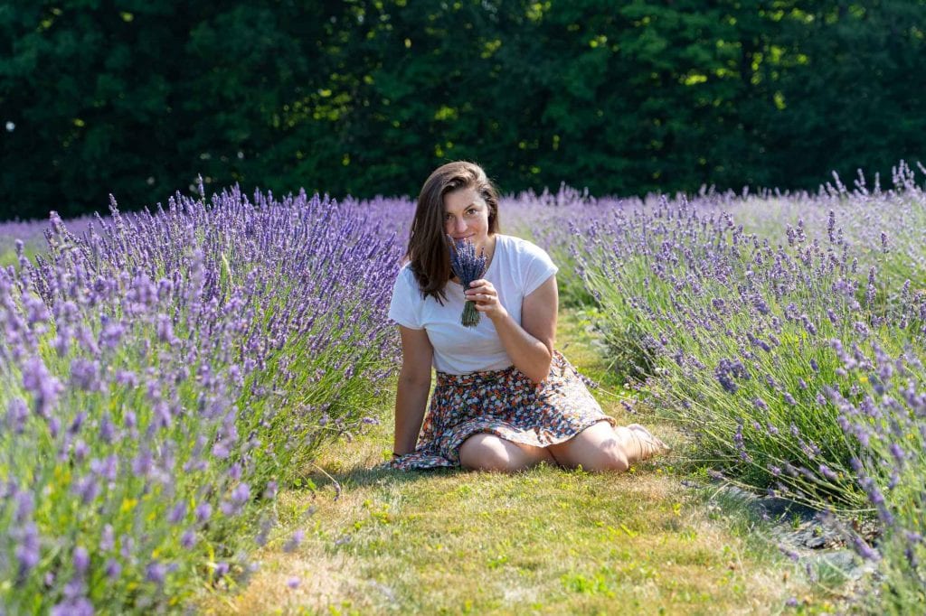 Granjas de lavanda Kat a Luvin
