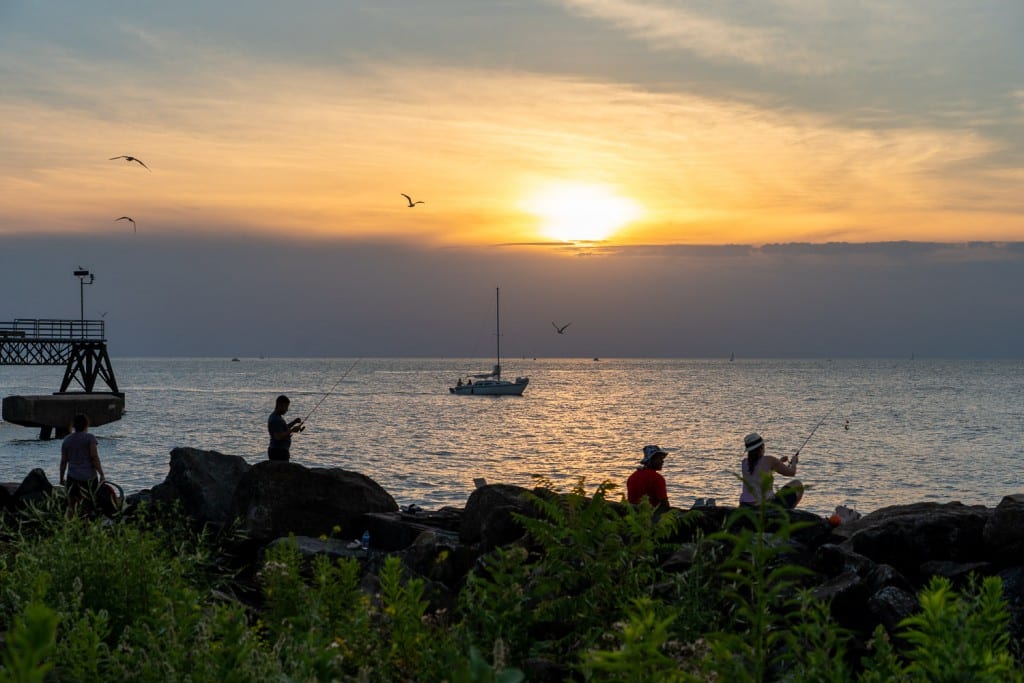 Pesca al atardecer en Edgewater Park