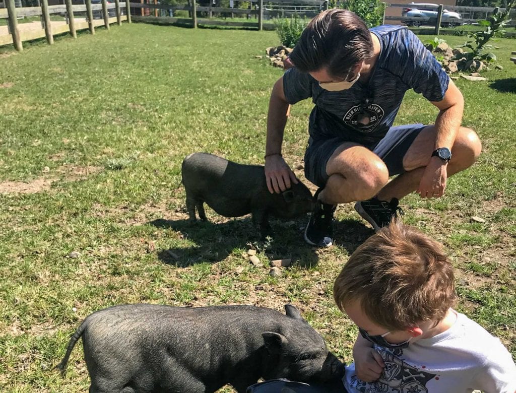 Santuario de animales de granja Happy Trails
