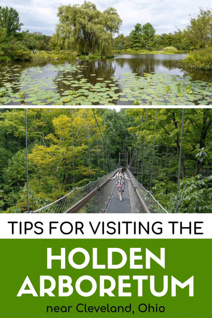 Consejos para visitar el Holden Arboretum
