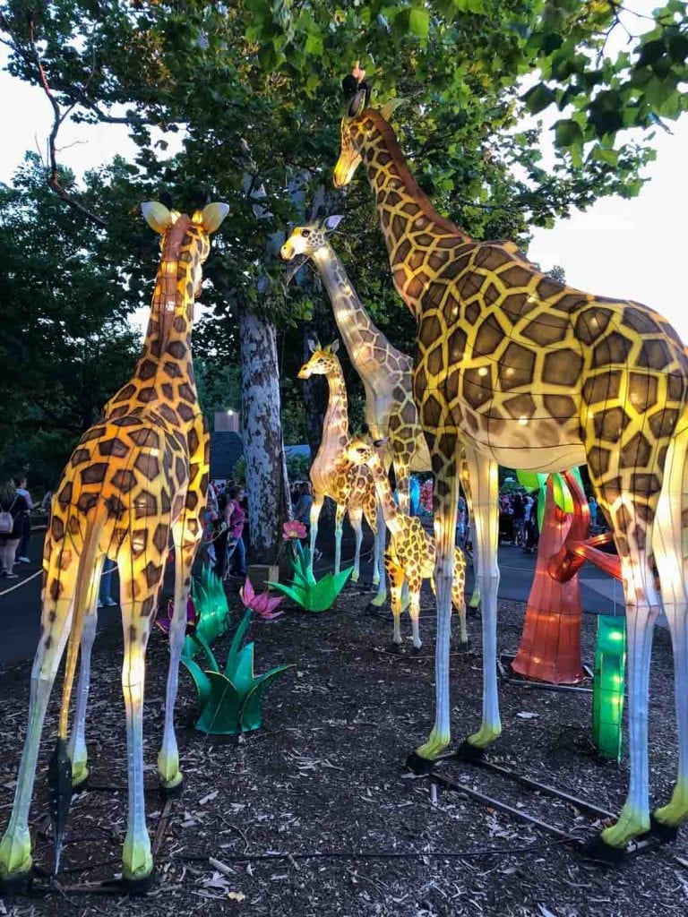 Festival de los faroles asiáticos en el zoológico de Cleveland