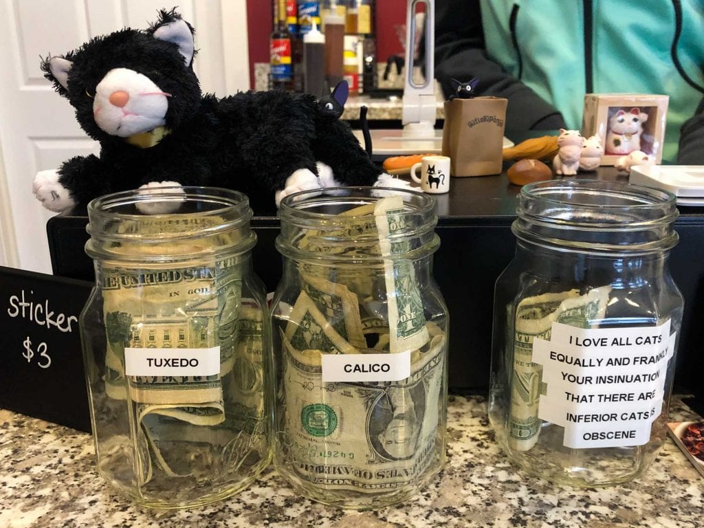 Cafetería para gatos AffoGATO en Cleveland