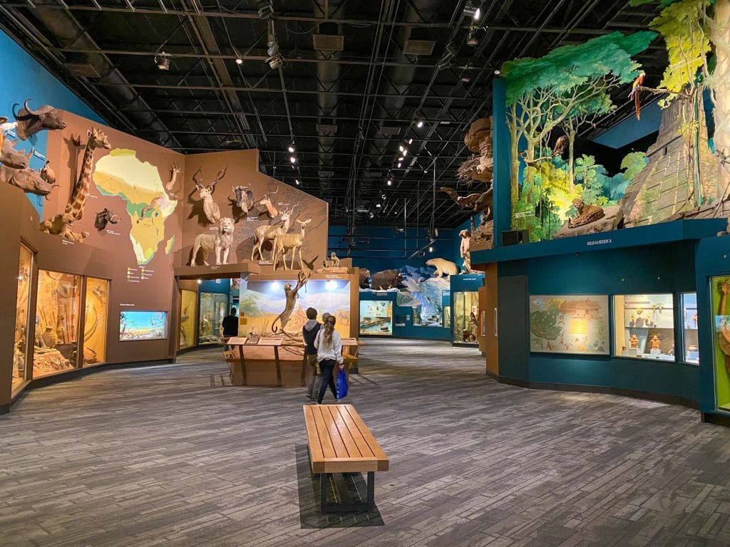 Museo de Historia Natural de Cleveland