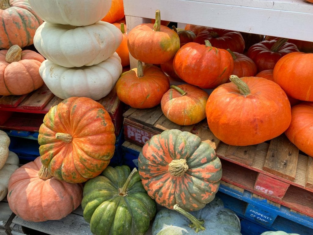 Calabazas