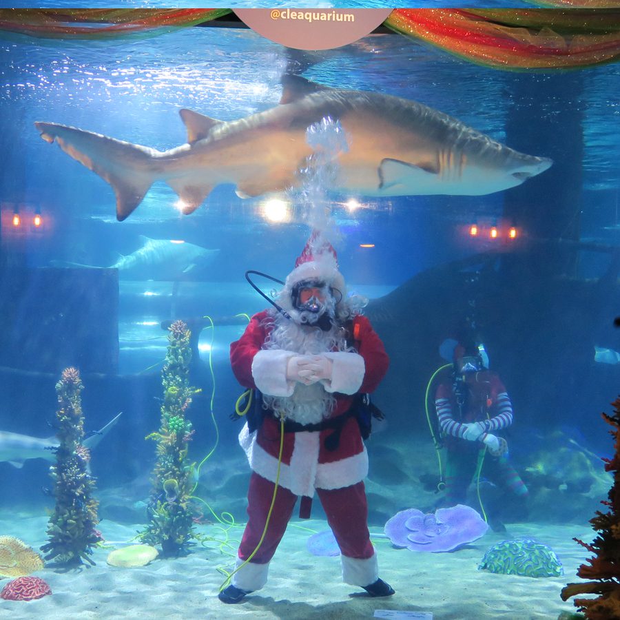 Noel de buceo